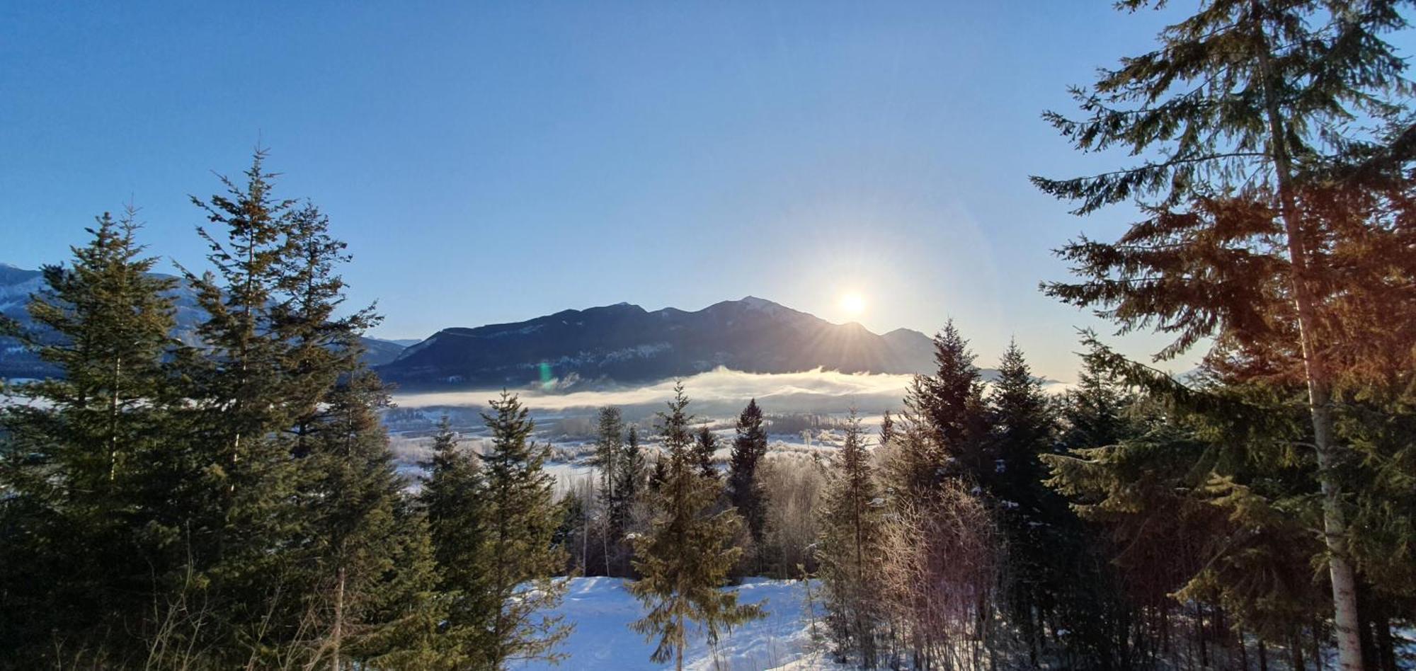 Alpine Meadows Lodge *