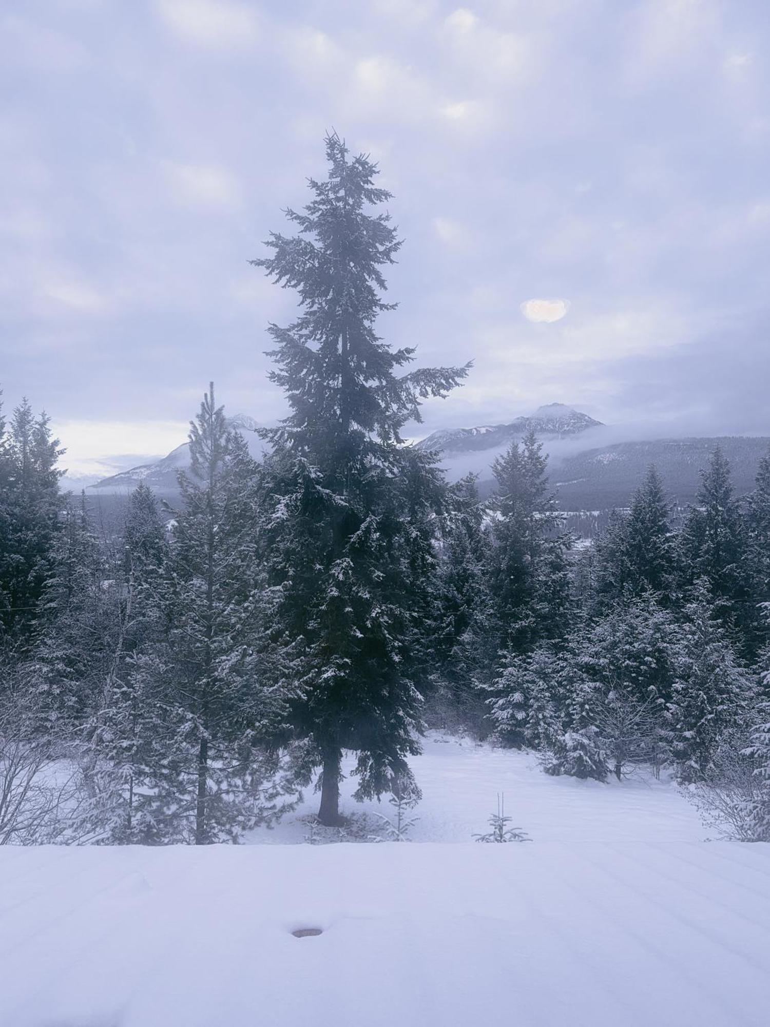 Alpine Meadows Lodge *